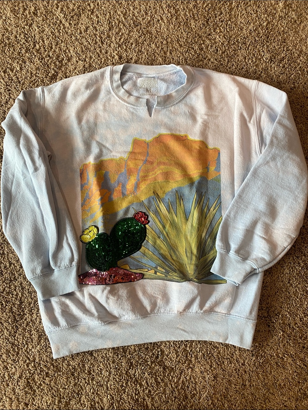 Gina Tees White Southwestern Cactus Graphic Sweatshirt